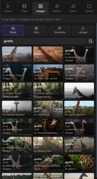 The Images tab searching stock photos