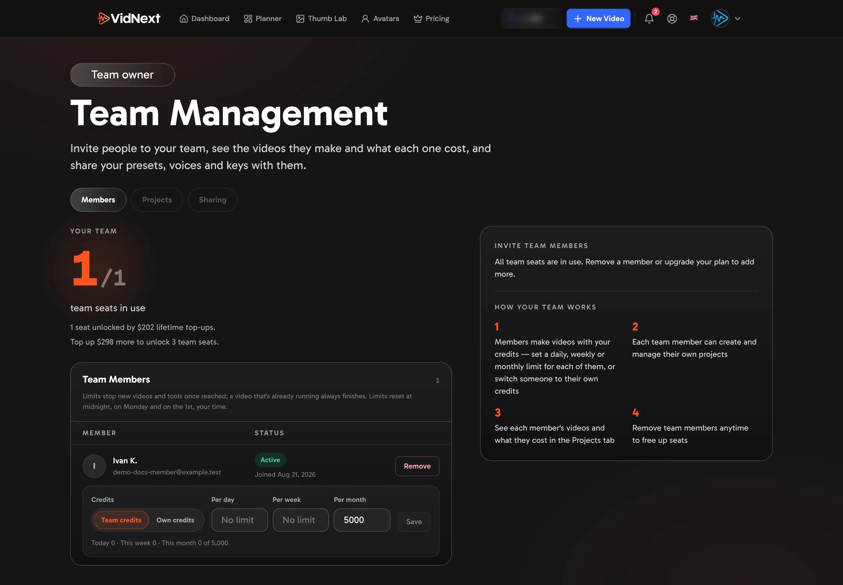 The Team page's Members tab: your seats, the invite section and your members with their credits and limits